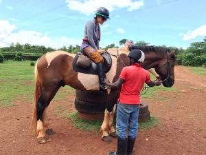 11 Days Sports Wildlife Safari River Nile Tour