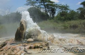 7 Days Gorilla Tracking Safaris Holidays