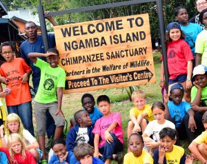 Ngamba Island Chimpanzee Sanctuary