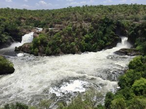 3 Days Murchison Falls Safari | Spectacular Game Safari