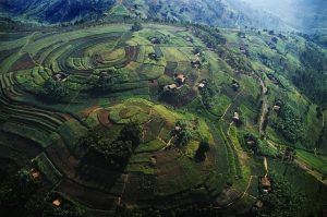 landscape-uganda