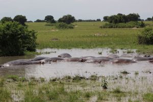 School Tours and Safaris srcset=