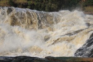 2 days murchison falls safari