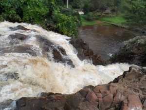 1 day sezibwa falls and Mabira Nature Forest Walk Uganda