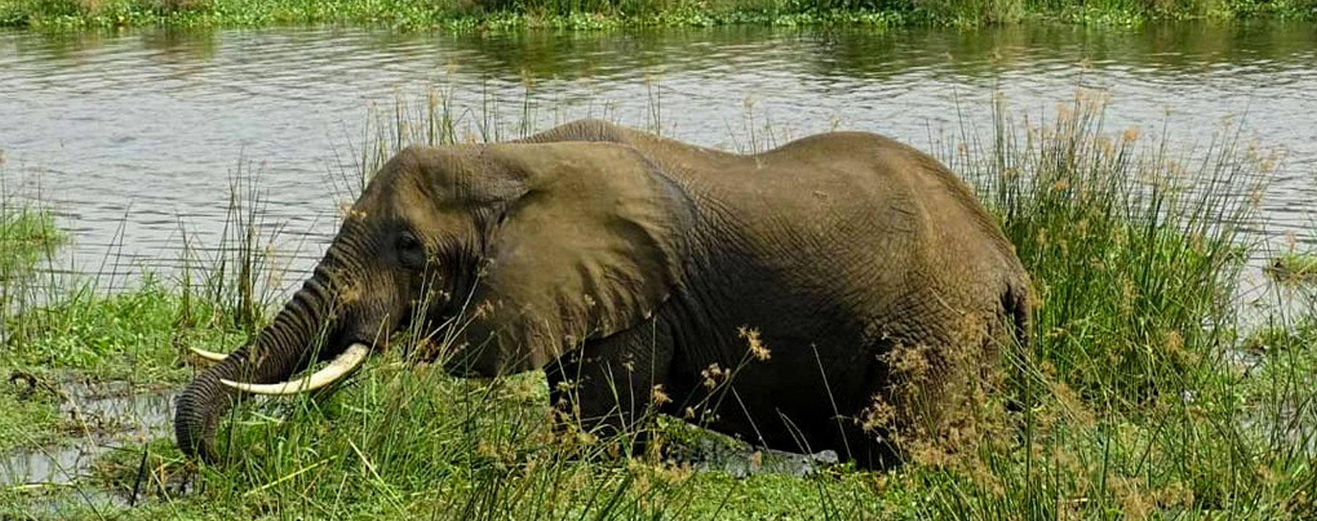 3 Days Murchison Falls Safari